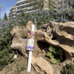 Λαμπάδα με Σκουλαρίκια μωβ